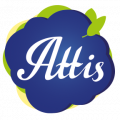 Attis